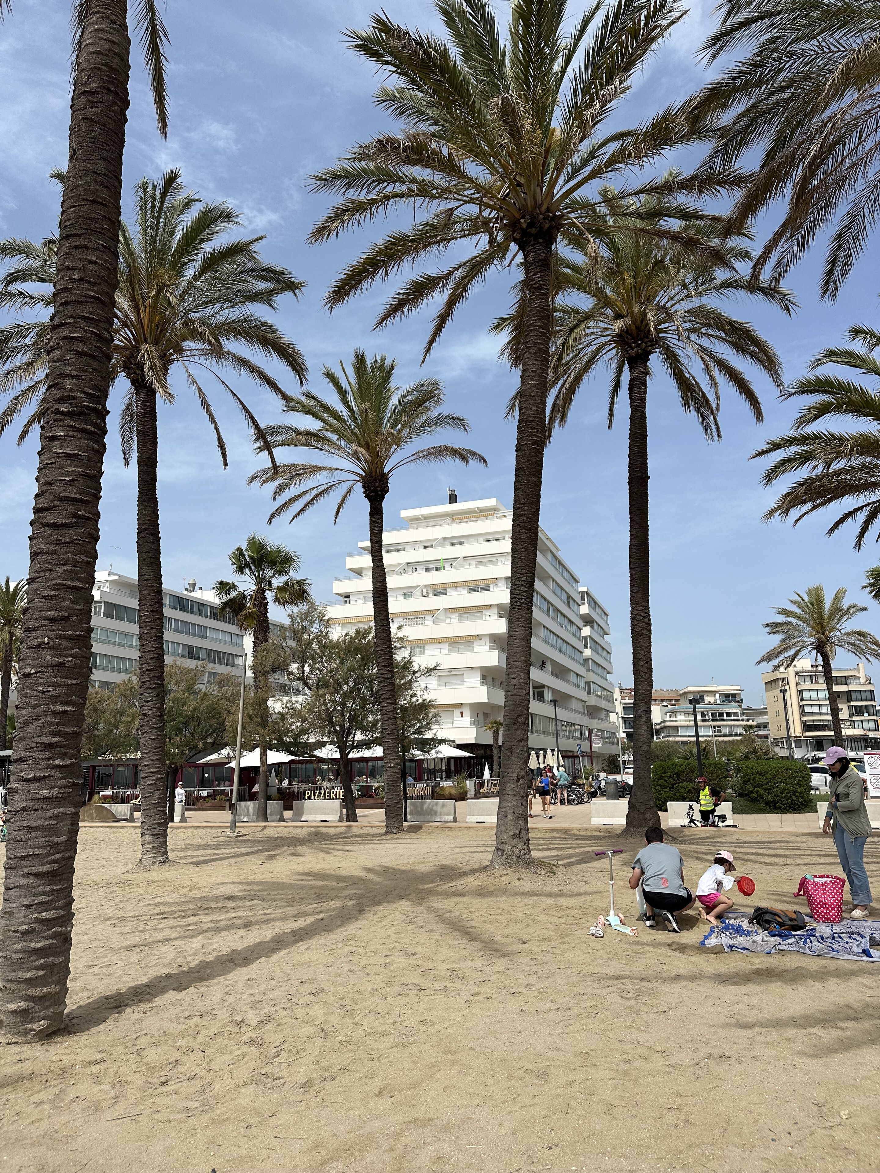 A sandy beach with palm trees and a white building in the background.