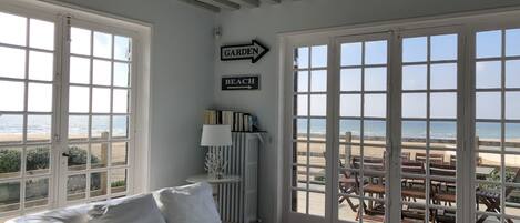 Televisión, chimenea, reproductor de DVD y libros