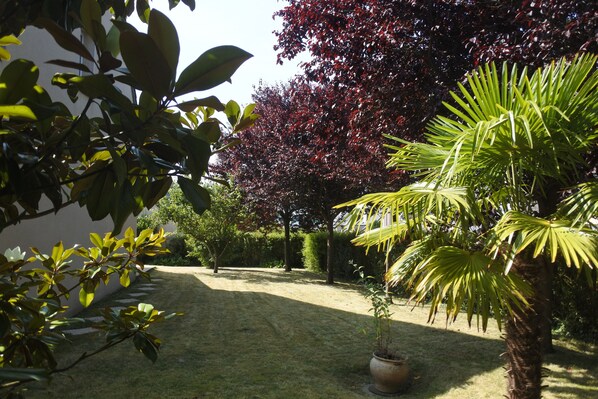 Un jardín bien cuidado con diversas plantas y césped.
