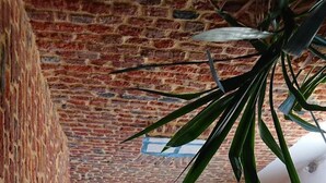 Una habitación rústica con techo inclinado, paredes de madera, un ventanal y vistas al exterior.