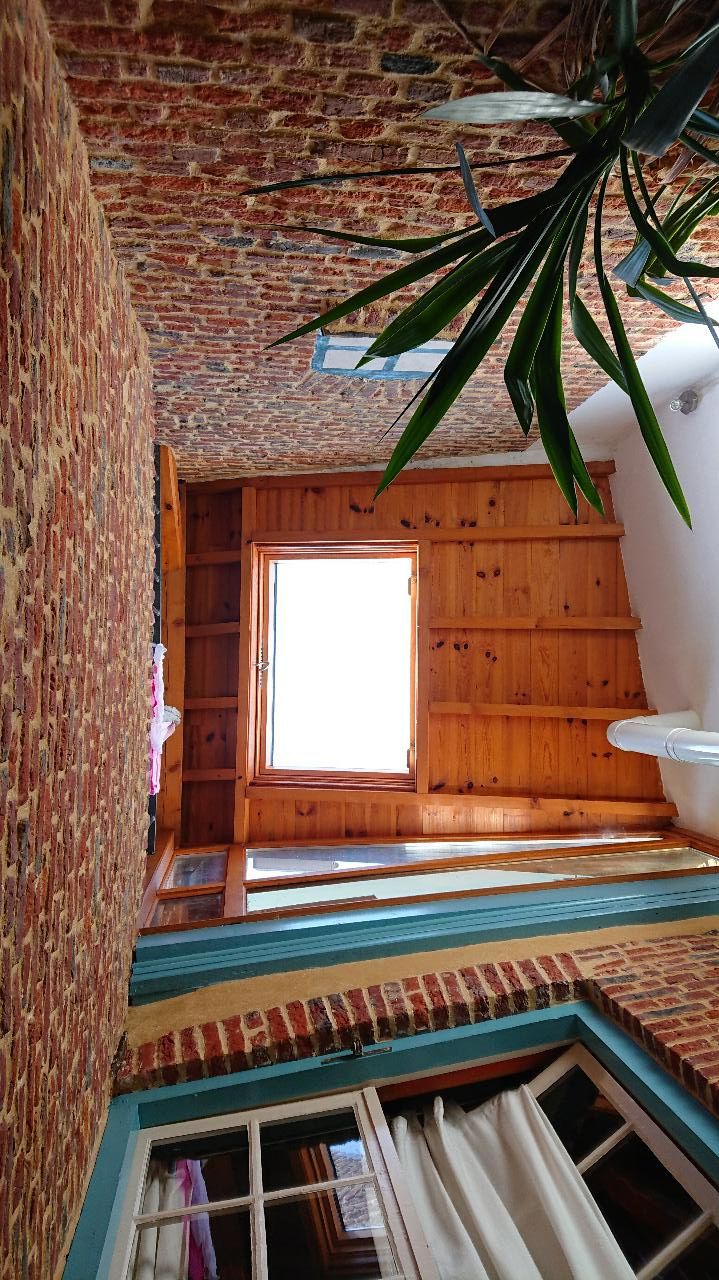 A room with a sloped ceiling, a wooden door, a window, and a plant.