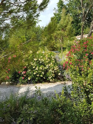 Property grounds - Provencal gite with all comforts, swimming pool, in a quiet property (grospierres)