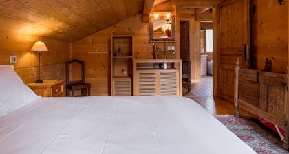 Chalet 12-14 Personen Le Grand Bornand - Chinaillon