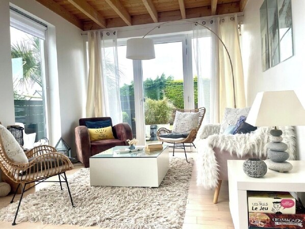 Télévision, cheminée, lecteur de DVD, livres