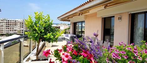 Terras