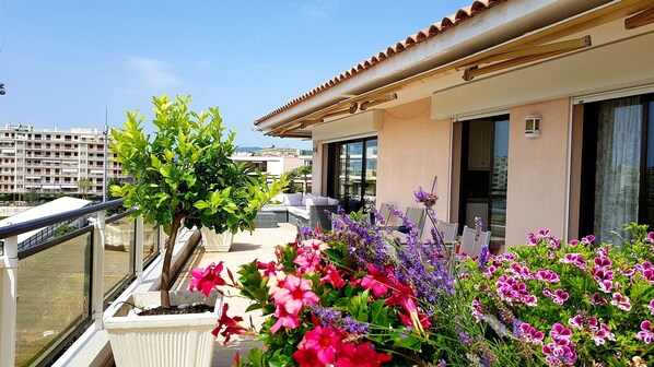 Terraza o patio