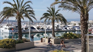 A marina with boats docked, palm trees, and a cyclist on the sidewalk. - Large 4P Pointe Croisette Huge terrace Sea view Beaches Wifi Air conditioning Garage (Cannes)