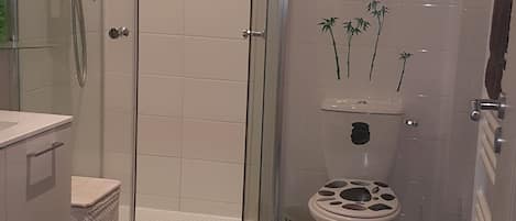 Douche, séchoir à cheveux, serviettes fournies
