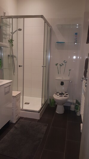 Chuveiro, secador de cabelo, toalhas de banho