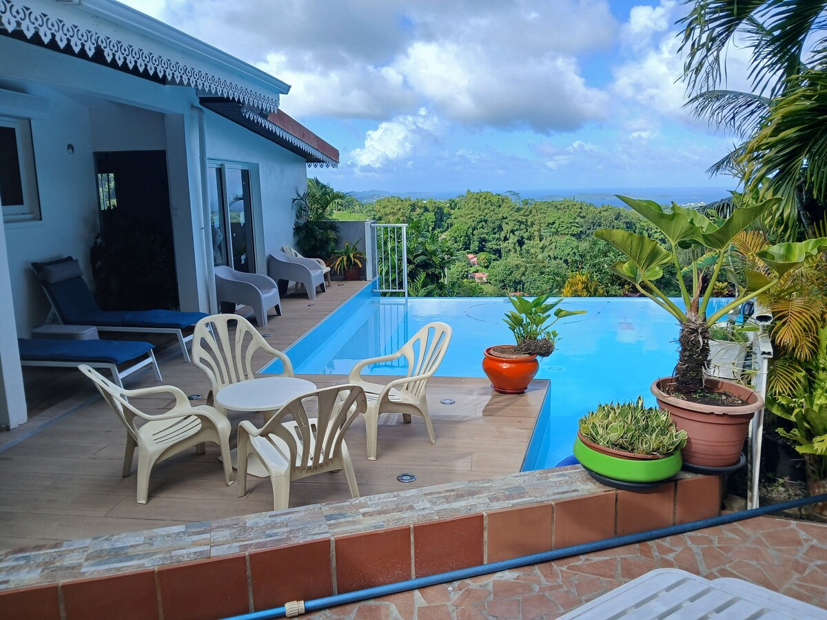 Imagen de perfil del propietario o de la propietaria