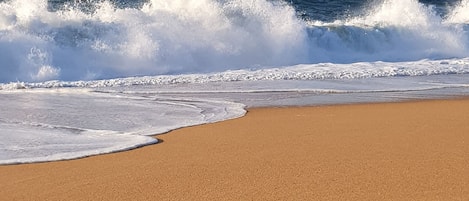 Una playa arenosa con huellas que conducen al agua, olas rompiendo y un cielo despejado.