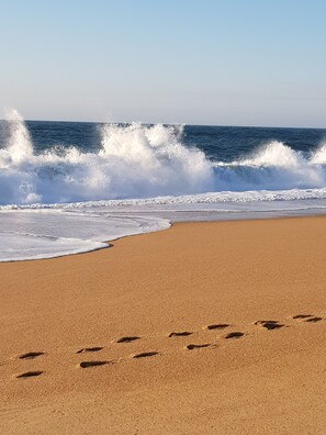 Playa en los alrededores y camastros