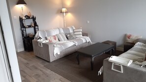 TV, fireplace, DVD player, books