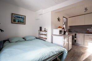 1 bedroom, desk, iron/ironing board, travel crib - SPECIAL 2025 promotion- 10 % App T2, classified 2*, renovated, re-equipped, quiet, (EMBRUN)