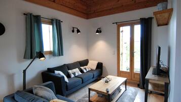 Televisión, chimenea, reproductor de DVD y libros