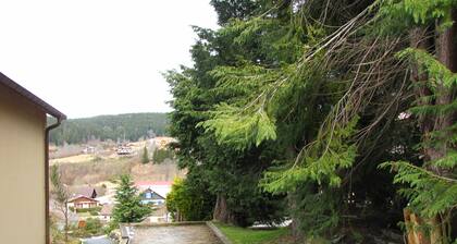 Appart. 800 m from lake, Xonrupt-Longemer, comfortable, bright, terrace,