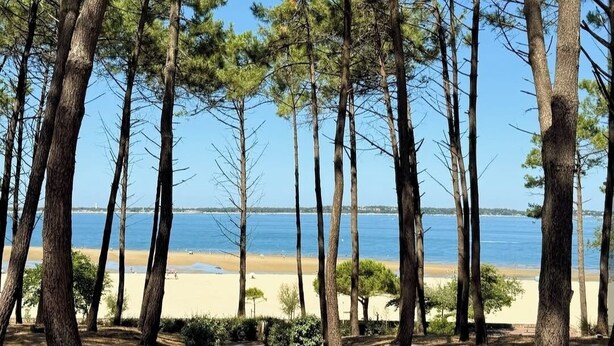 A forested area with tall trees and a beach in the background. - Cozy vacation rental in the Arcachon Basin for 2–3 people: peaceful setting, amenities, and beaches (Gujan-Mestras)