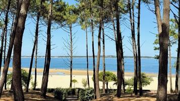Accommodatie ligt op het strand