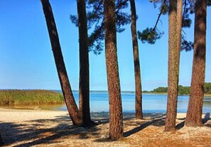 Playa en los alrededores 