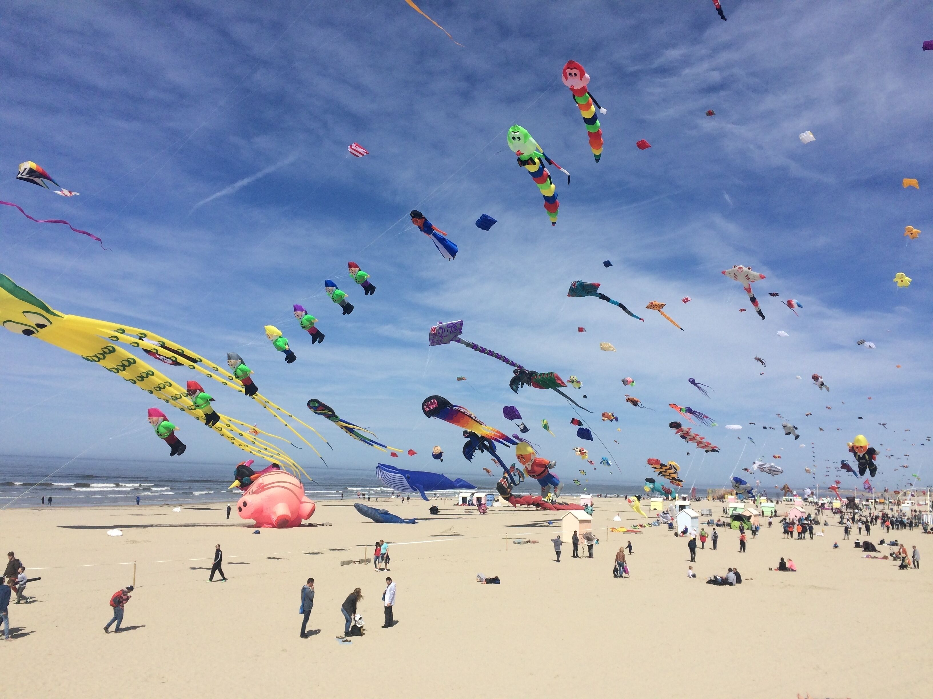 A beach with numerous colorful kites and people enjoying the day.