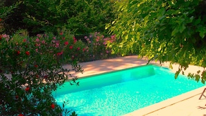 Outdoor pool - In a privileged setting, detached house, private swimming pool, pets allowed (Sisteron)
