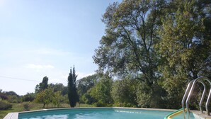 A rectangular swimming pool with a wooden deck and metal ladder, surrounded by trees and greenery. - Country house with large garden and swimming pool (Carces)
