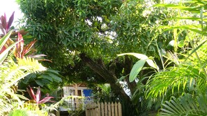 A garden pathway with a wooden fence, surrounded by lush greenery and a variety of plants. - Between sea and rivers, at the gates of the Guadeloupe National Park! (capesterre belle eau)