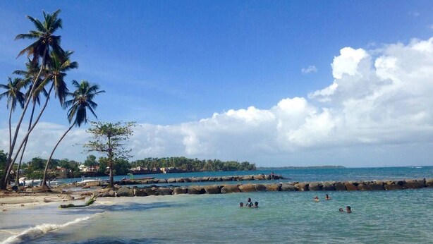 A beach with clear blue water, palm trees, and a rocky breakwater. - Between sea and rivers, at the gates of the Guadeloupe National Park! (capesterre belle eau)
