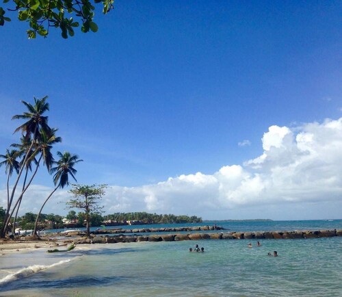 Between sea and rivers, at the gates of the Guadeloupe National Park!
