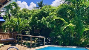 A swimming pool with a wooden deck, surrounded by lush tropical vegetation. - Between sea and rivers, at the gates of the Guadeloupe National Park! (capesterre belle eau)