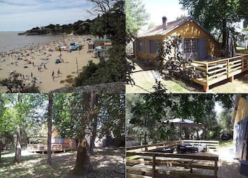 La palombiĂšre et la plage Ă 150 mĂštres
06 26 30 11 66