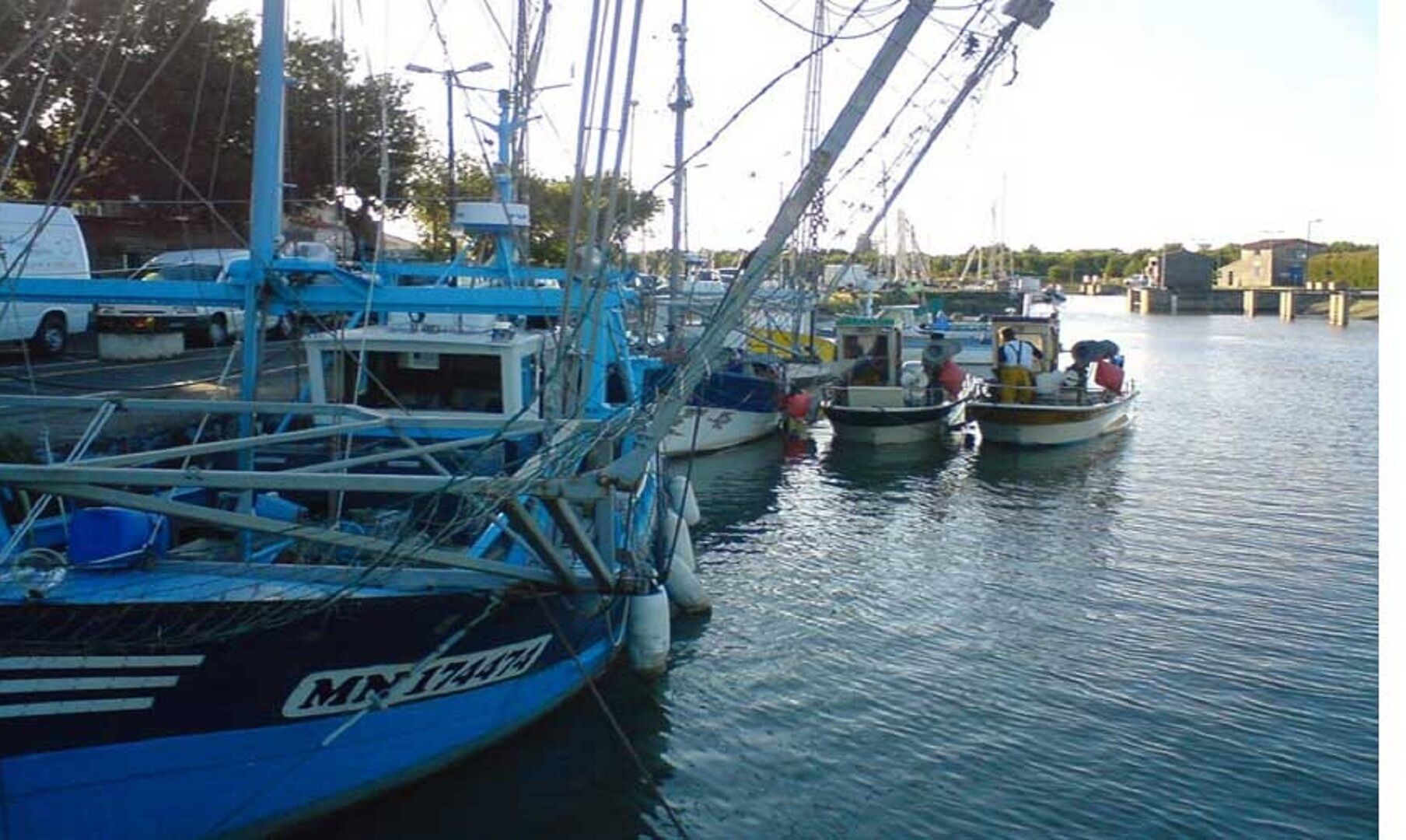 Le port de Meschers 
