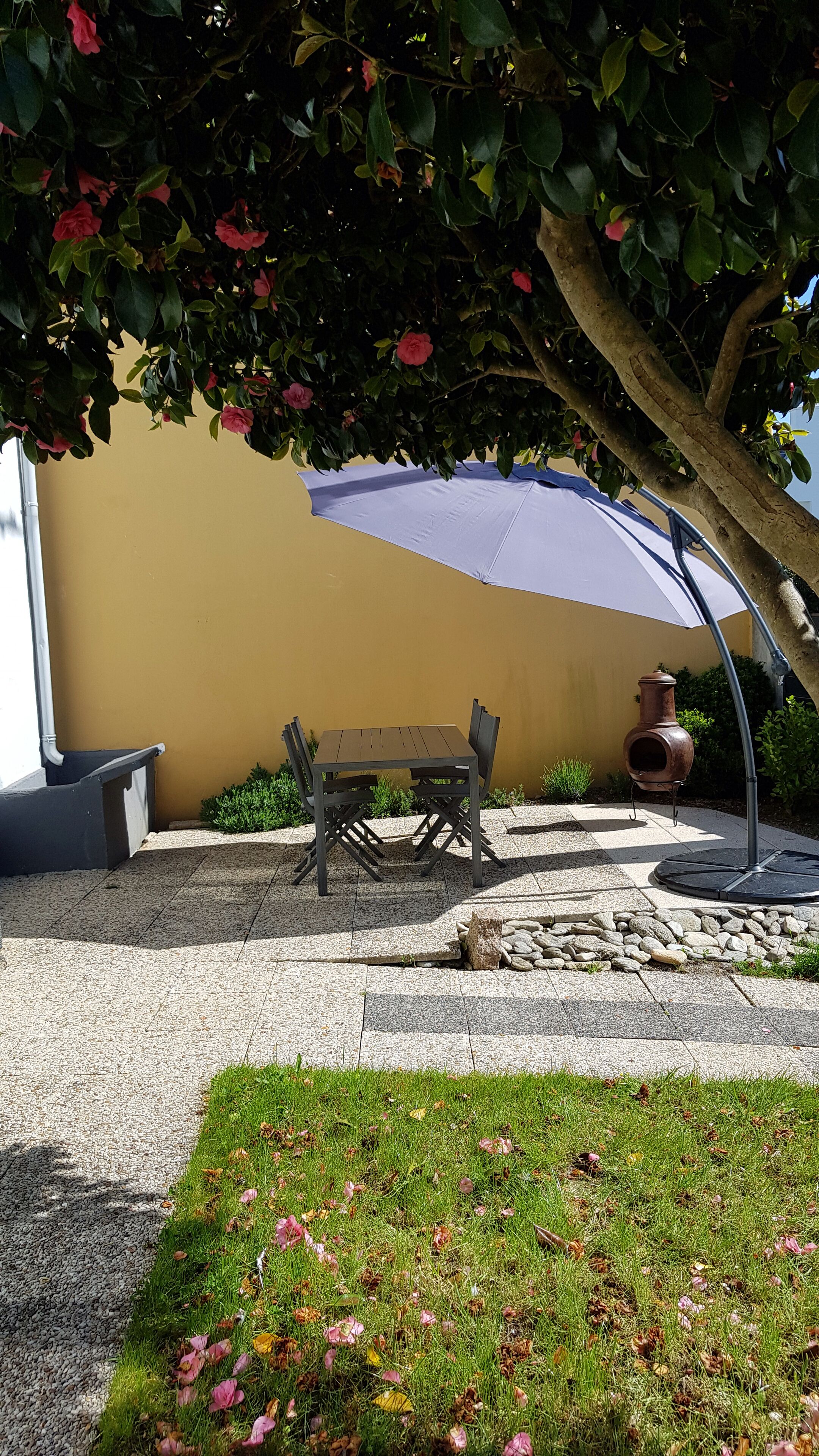 Une terrasse avec une table et des chaises, un grand parasol, une plante en pot et un chemin pavé de pierres.