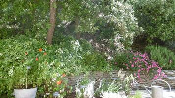 Terrein van de accommodatie