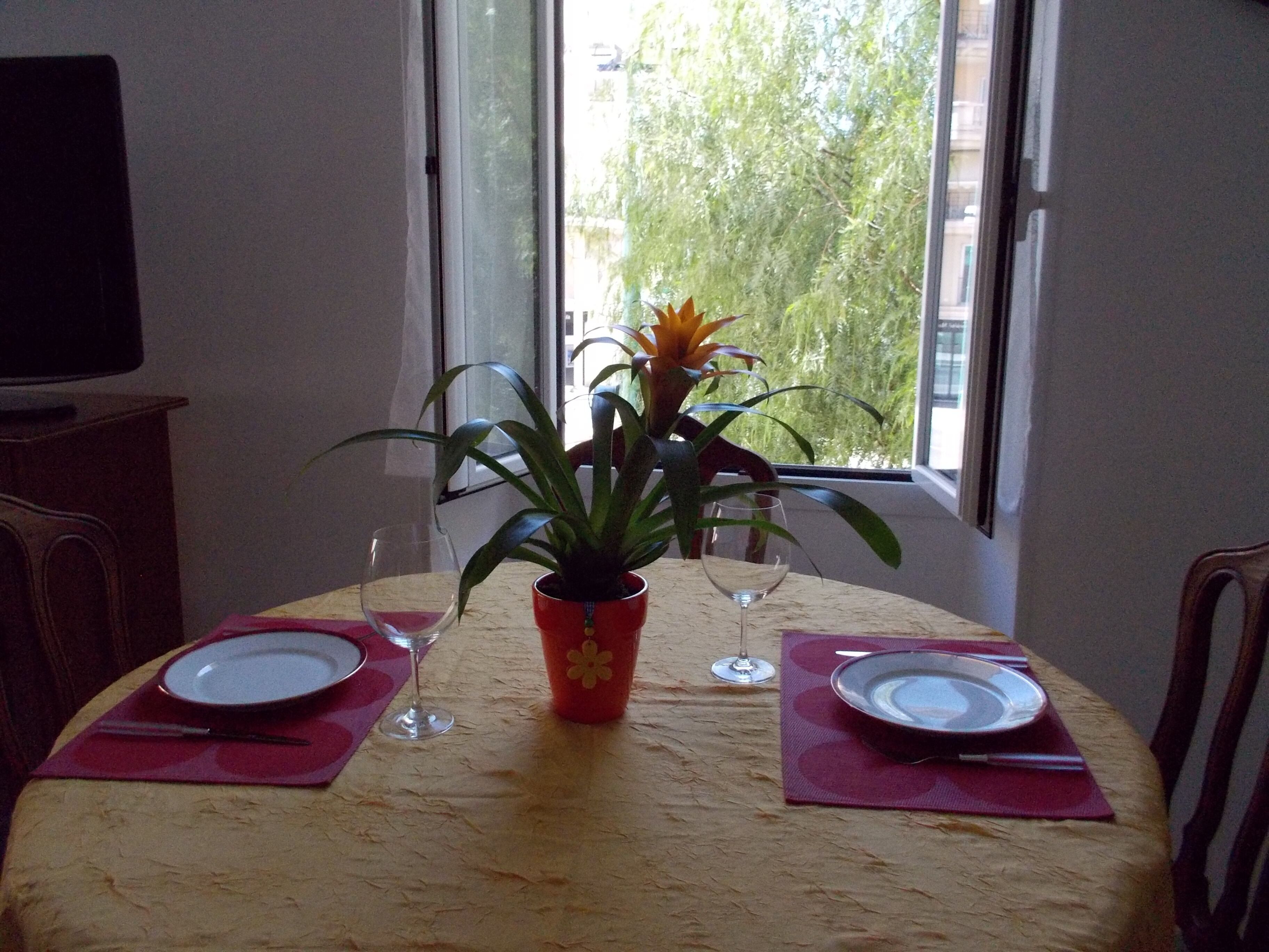 Une table à manger avec deux assiettes, deux verres à vin et une plante en pot.