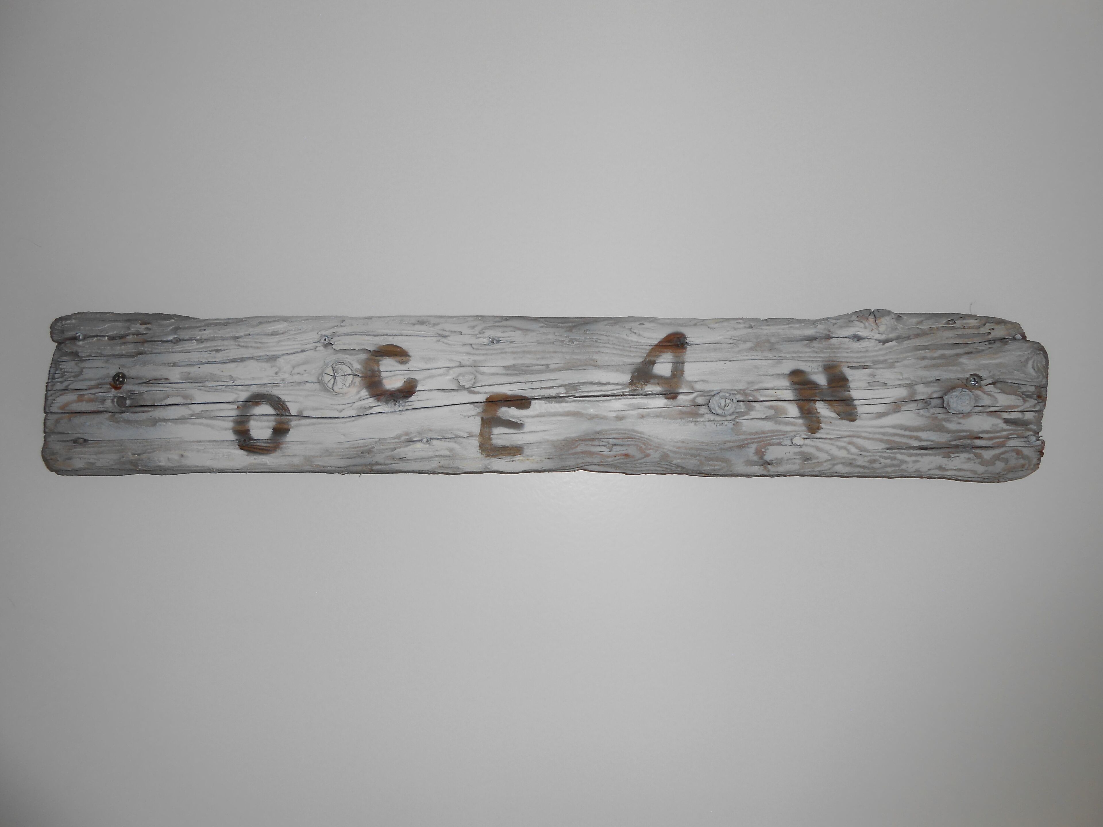 A rustic wooden sign with the word "OCEAN" carved into it.