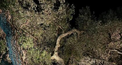 Villa La Farigoulette