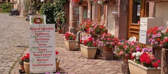 Maison de charme sur la route du vin dans le "VILLAGE PRÉFÉRÉ DES FRANÇAIS 2022"