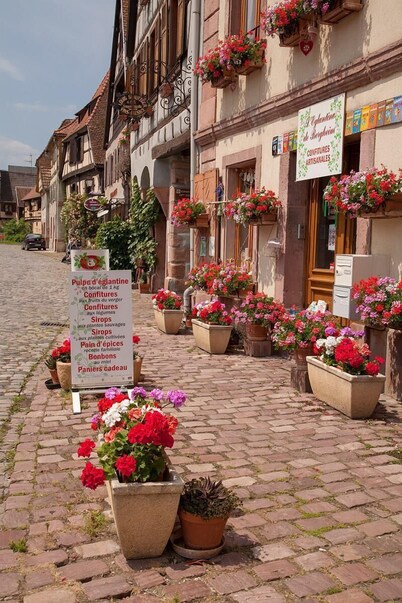 Charming house on the wine route in the "VILLAGE PRÉFÉRÉ DES FRANÇAIS 2022" (FRENCH FAVORITE VILLAGE 2022)