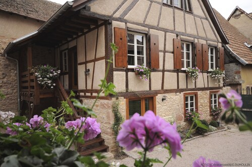 Charming house on the wine route in the "VILLAGE PRÉFÉRÉ DES FRANÇAIS 2022" (FRENCH FAVORITE VILLAGE 2022)