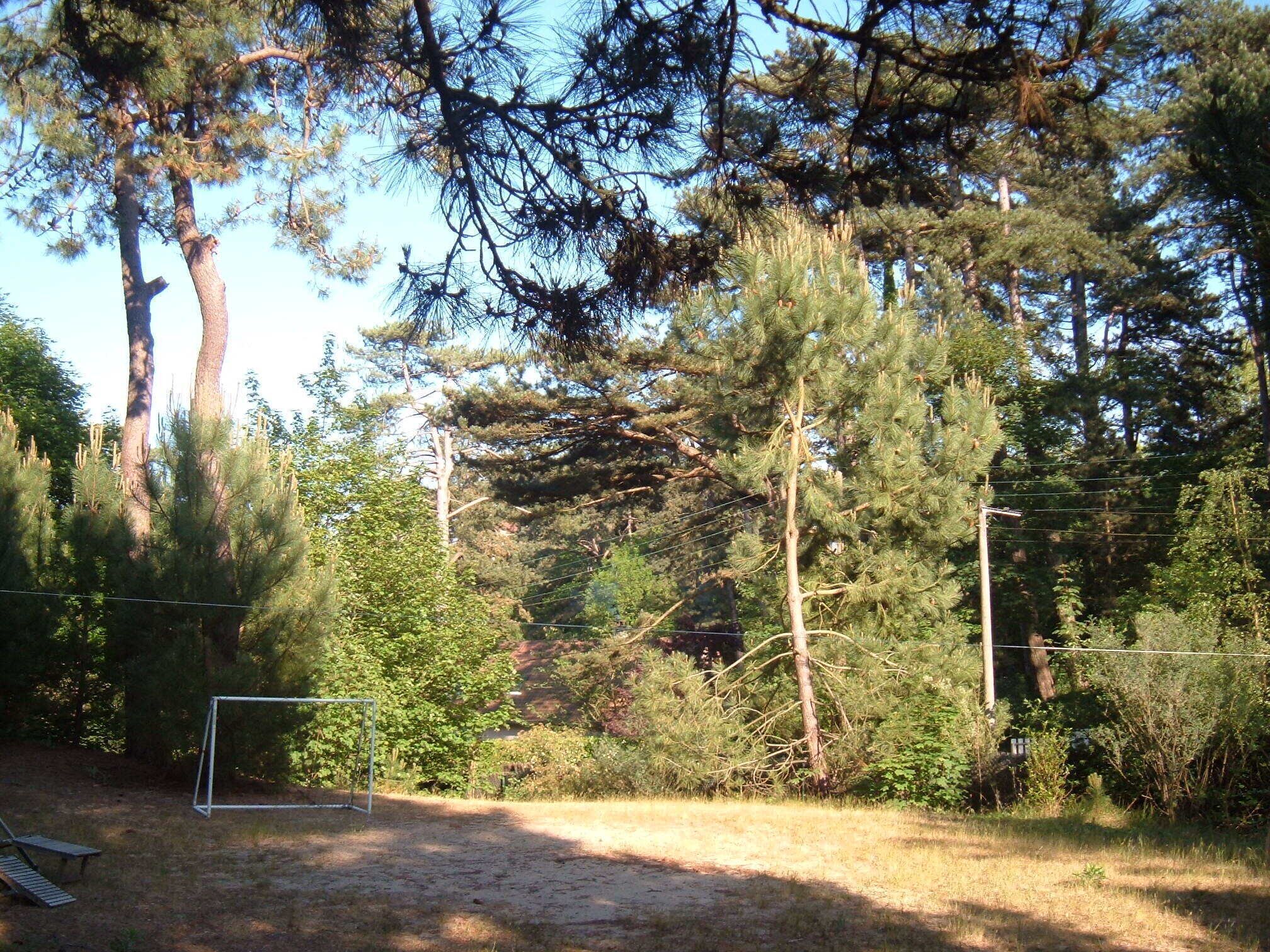 Sportplatz