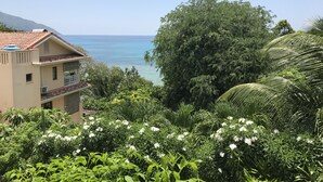 Ein Gebäude mit Balkon und Blick auf eine Küstenlandschaft mit üppiger Vegetation und weißen Blüten.