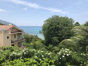 Ein Gebäude mit Balkon und Blick auf eine Küstenlandschaft mit üppiger Vegetation und weißen Blüten.