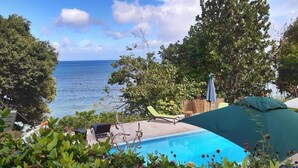 Ein Pool mit Blick auf den Ozean, umgeben von üppiger Vegetation und einem Holenzaun.