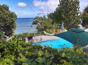 Ein Pool mit Blick auf den Ozean, umgeben von üppiger Vegetation und einem Holenzaun.