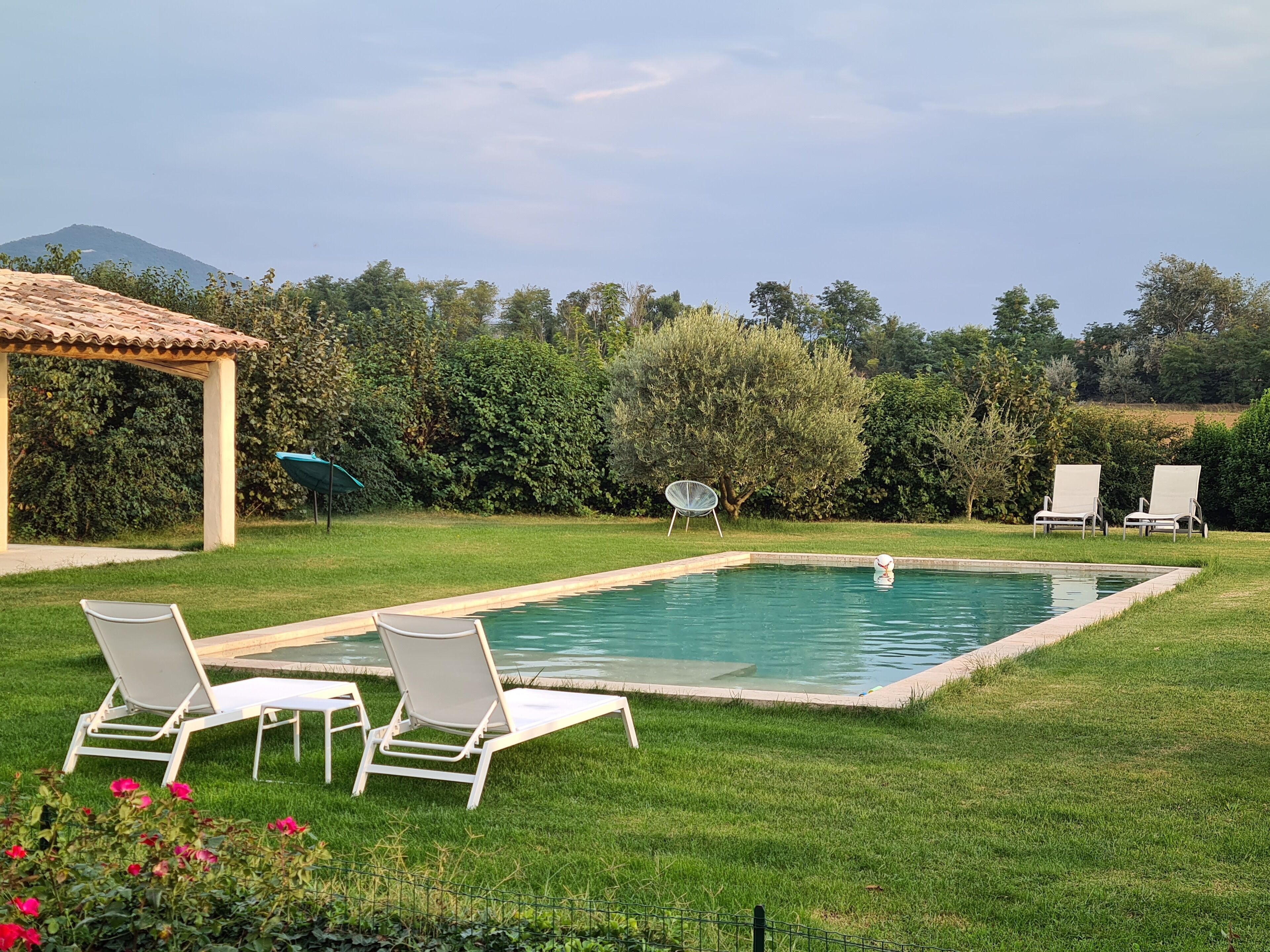 A rectangular swimming pool with a tiled deck, surrounded by well-maintained grass and a few white lounge chairs.