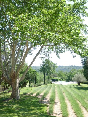 Áreas de la propiedad