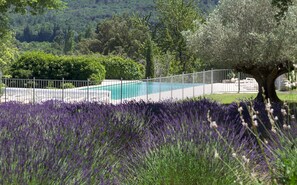 Alberca al aire libre