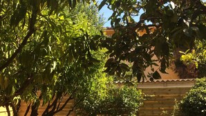 A patio with a tiled table surrounded by wooden chairs, a vase with flowers, and a wooden fence in the background. - Completely renovated house with swimming pool, garden, parking, A/C, in Argelès (Argelès-Sur-Mer)