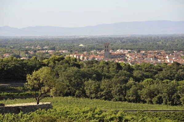 A town with a prominent tower, surrounded by lush greenery and vineyards.